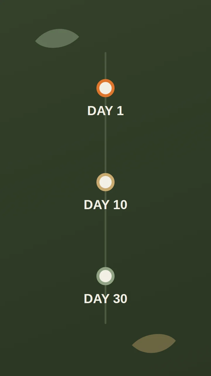 The 30-day rhythm